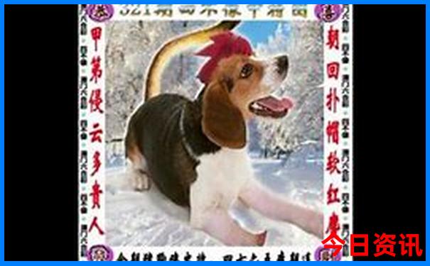 北边有什么好玩的景点